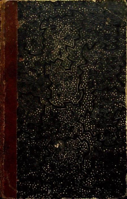 L' asino: sogno - copertina