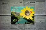 Levico - Vetriolo