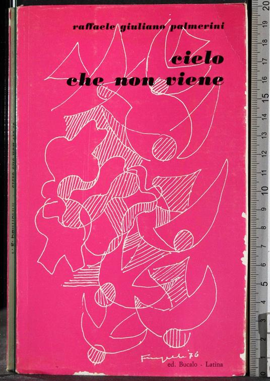 Cielo che non viene - copertina