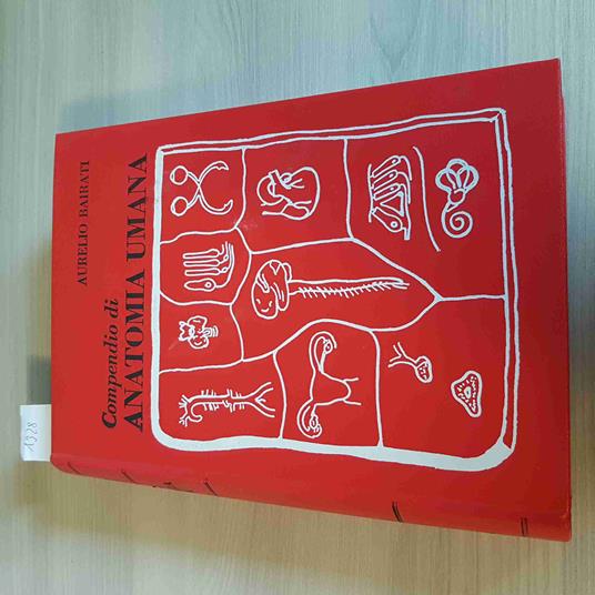 Compendio Di Anatomia Umana Sistema Nervoso Centrale - Bairati Aurelio - Minerva - copertina