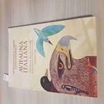 Avifauna Italiana Settimana Della Cultura - Liceo Cairoli Vigevano Pavia 1997