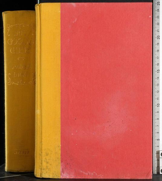 The blood seed - copertina