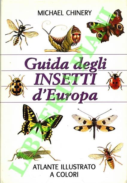 Guida degli insetti d'Europa. Atlante illustrato a colori. - Michael Chinery - copertina