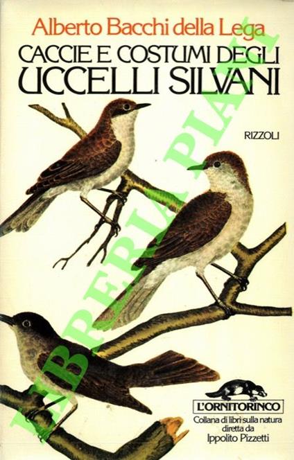 Caccie e costumi degli uccelli silvani. - Alberto Bacchi Della Lega - copertina