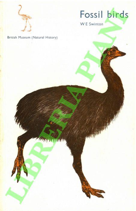 Fossil birds - copertina