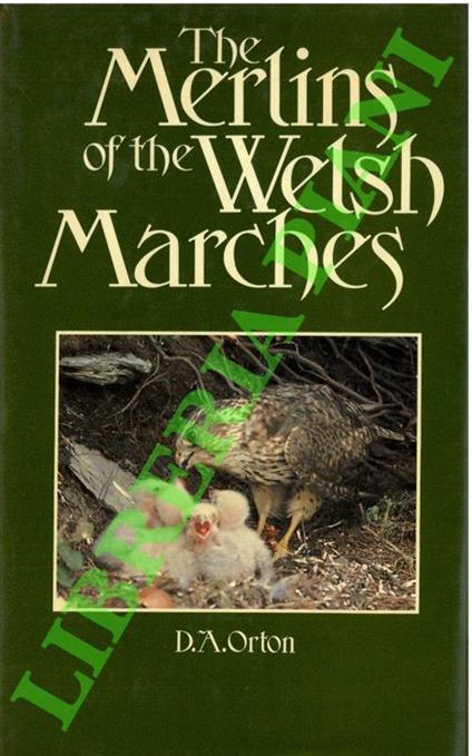 The Merlins of the Welsh Marches - copertina