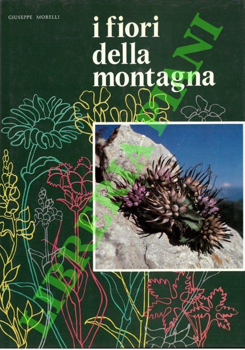 I fiori della montagna. Iconografia fotografica. - Giuseppe Morelli - copertina