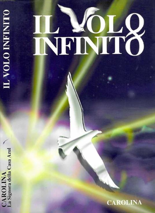 Il volo infinito - copertina