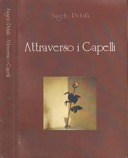 Attraverso i capelli - copertina