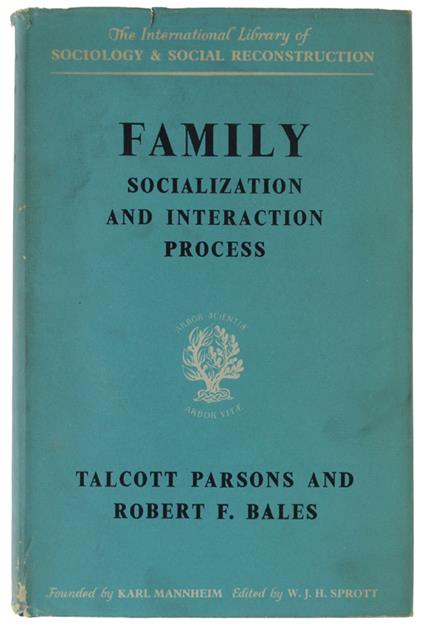 Family Socialization And Interaction Process - copertina