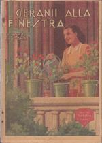 Romanzo Di Dora Gerani Alla Finestra