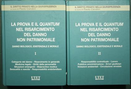 prova e il quantum nel risarcimento del danno non patrimoniale - copertina