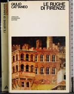 Le rughe di Firenze