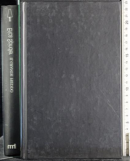 Il grande freddo - Erica Spindler - copertina