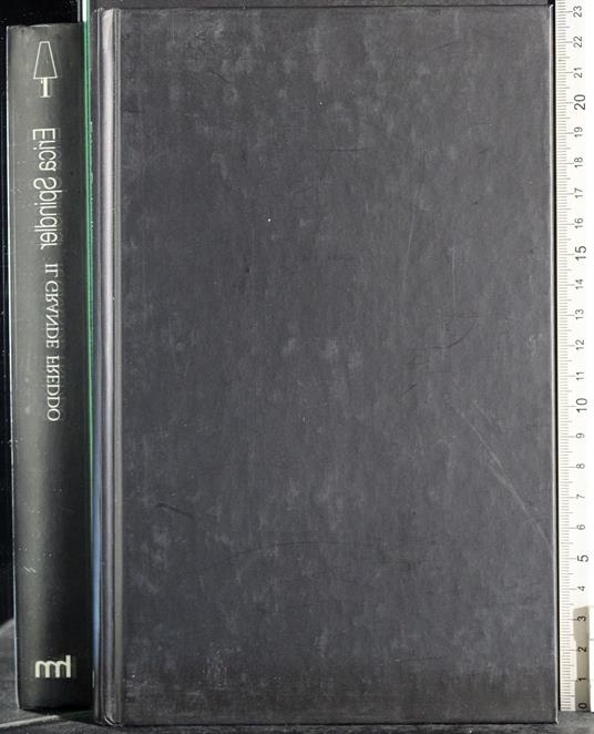 Il grande freddo - Erica Spindler - copertina