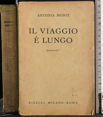 Il viaggio è lungo - Antonio Monti - copertina