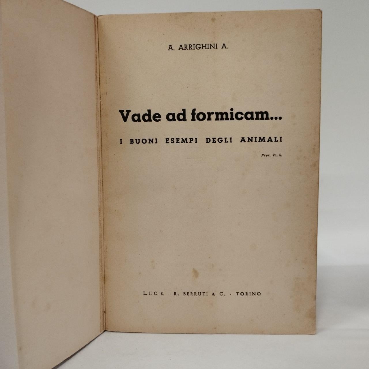 Vade ad formicam. I buoni esempi degli animali