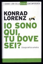 Io sono qui, tu dove sei? Etologia dell'oca selvatica