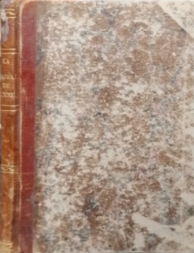 Firenze Libri