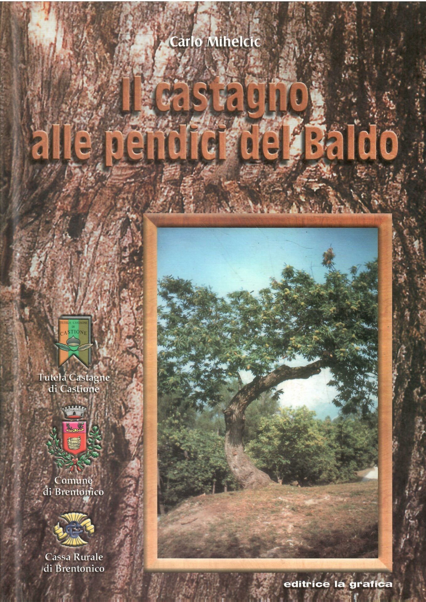 Libroteka di Fattoretti Silvia