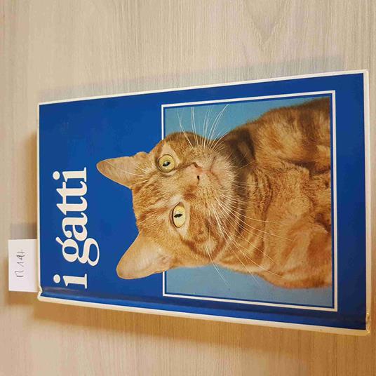 I Gatti - copertina