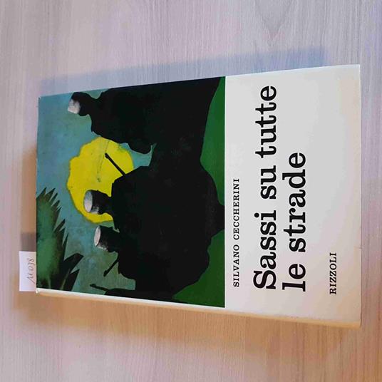 SASSI SU TUTTE LE STRADE - Silvano Ceccherini - copertina