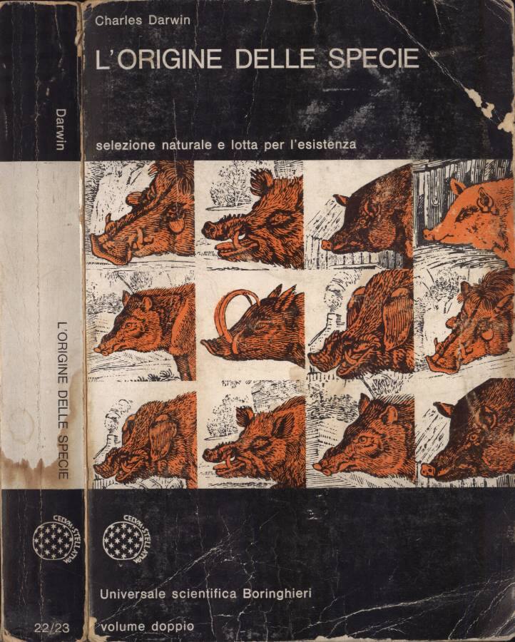 Biblioteca di Babele