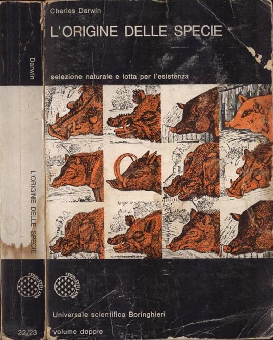 L' origine delle specie - Charles Darwin - copertina