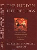 The hidden life of dogs