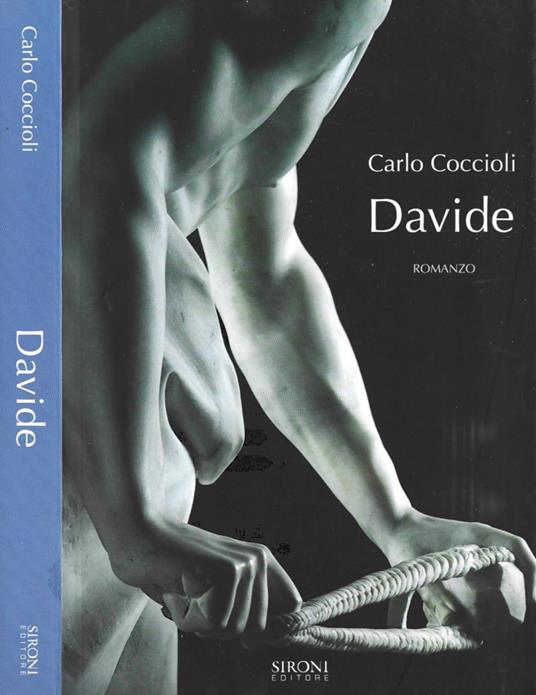Davide - Carlo Coccioli - copertina