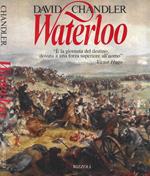 Waterloo. I cento giorni