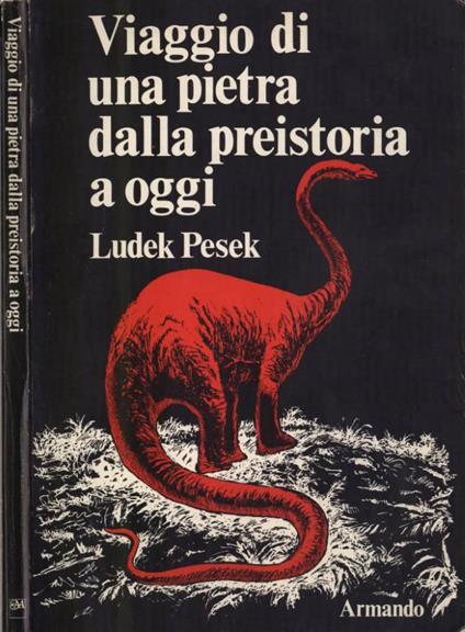 Viaggio di una pietra dalla preistoria a oggi - Ludek Pesek - copertina