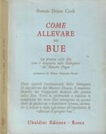 Come allevare un Bue