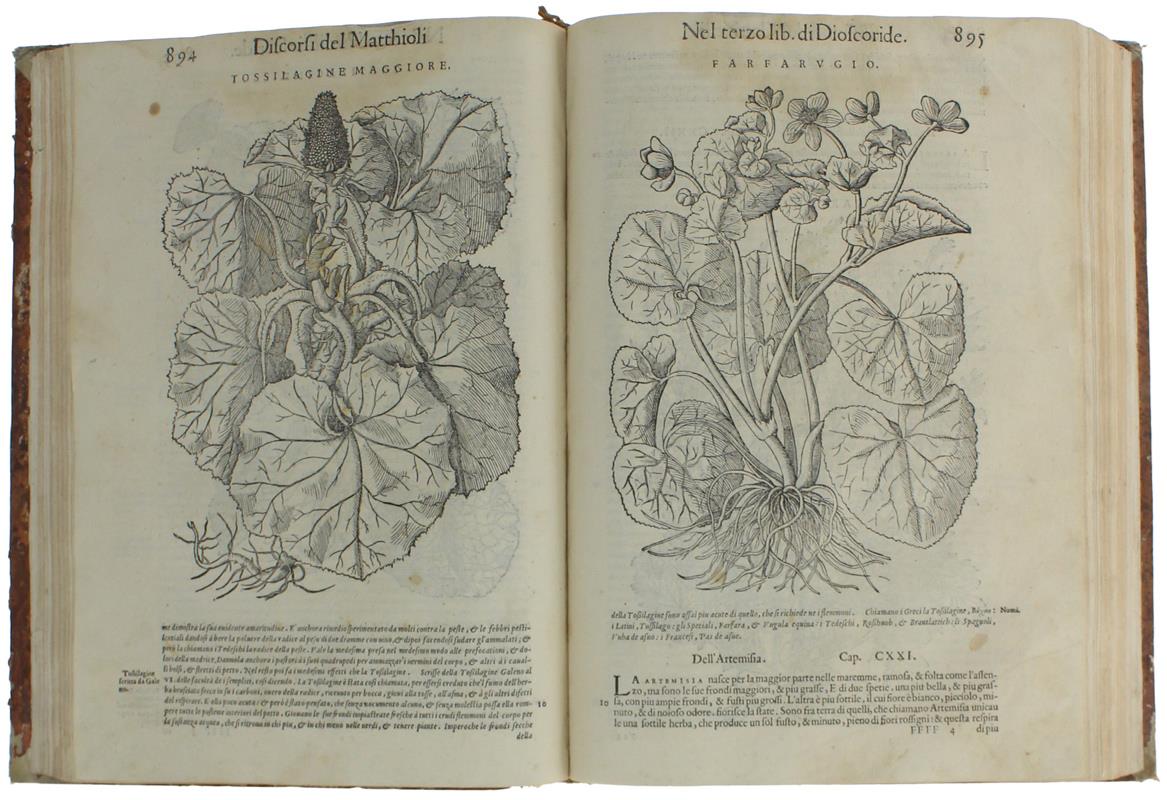 I DISCORSI DI M.PIETRO ANDREA MATTHIOLI Medico Sanese, nel Terzo  [e Quarto] Libro della Materia Medicinale di Pedacio Dioscoride Anazarbeo - Mattioli, Pietro Andrea - 1580