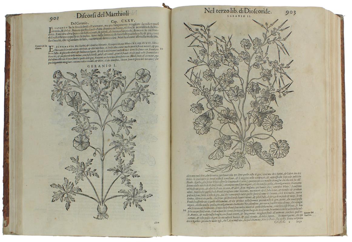 I DISCORSI DI M.PIETRO ANDREA MATTHIOLI Medico Sanese, nel Terzo  [e Quarto] Libro della Materia Medicinale di Pedacio Dioscoride Anazarbeo - Mattioli, Pietro Andrea - 1580