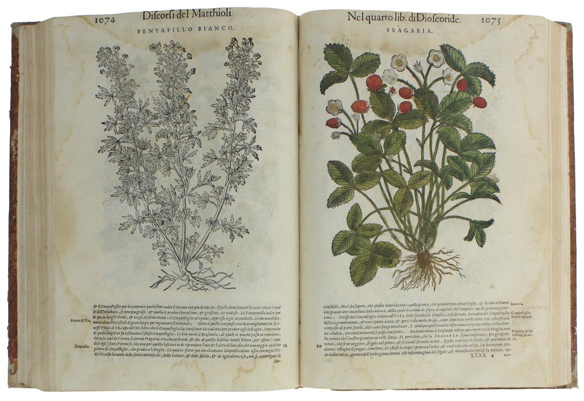 I DISCORSI DI M.PIETRO ANDREA MATTHIOLI Medico Sanese, nel Terzo  [e Quarto] Libro della Materia Medicinale di Pedacio Dioscoride Anazarbeo - Mattioli, Pietro Andrea - 1580