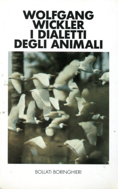 Carù Libreria Dischi