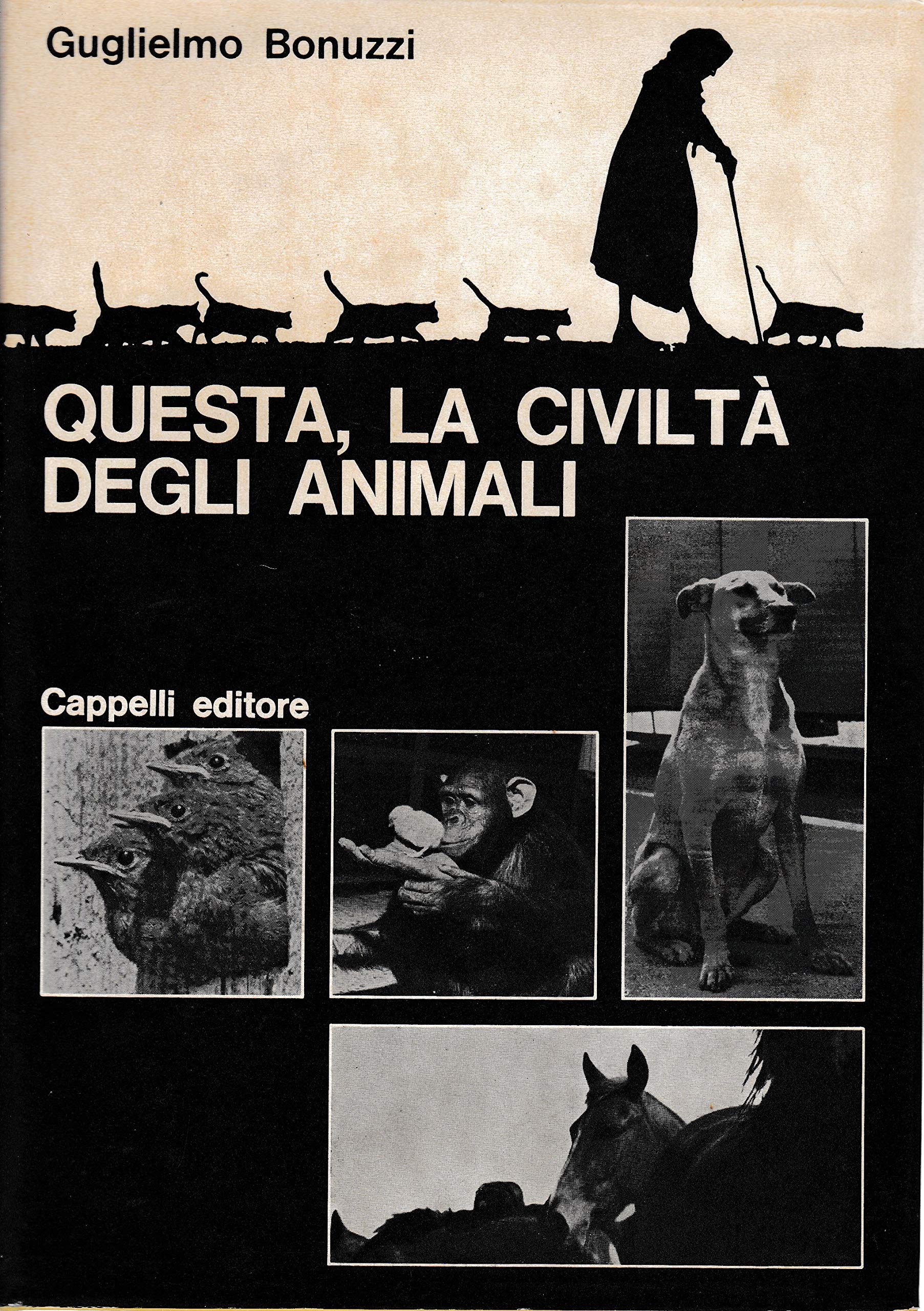 Carù Libreria Dischi