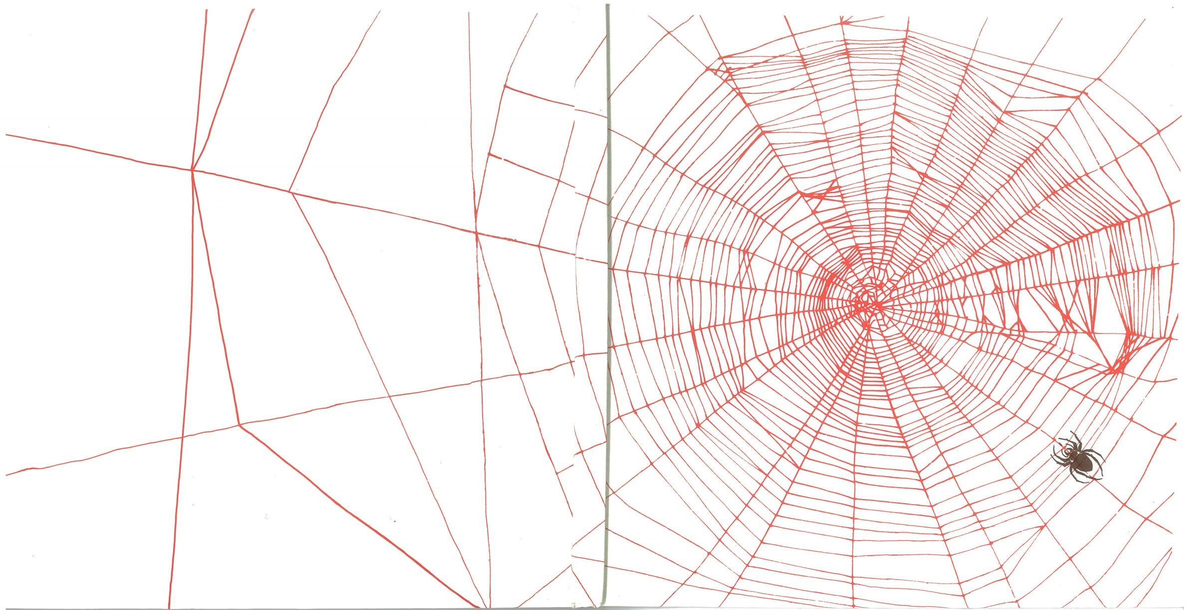 Carù Libreria Dischi