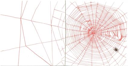 Ragno E La Sua Tela - copertina