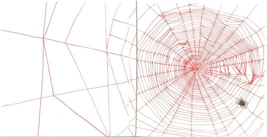 Ragno E La Sua Tela - copertina