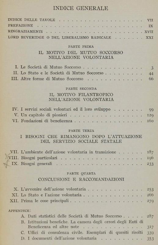 L' Azione Volontaria