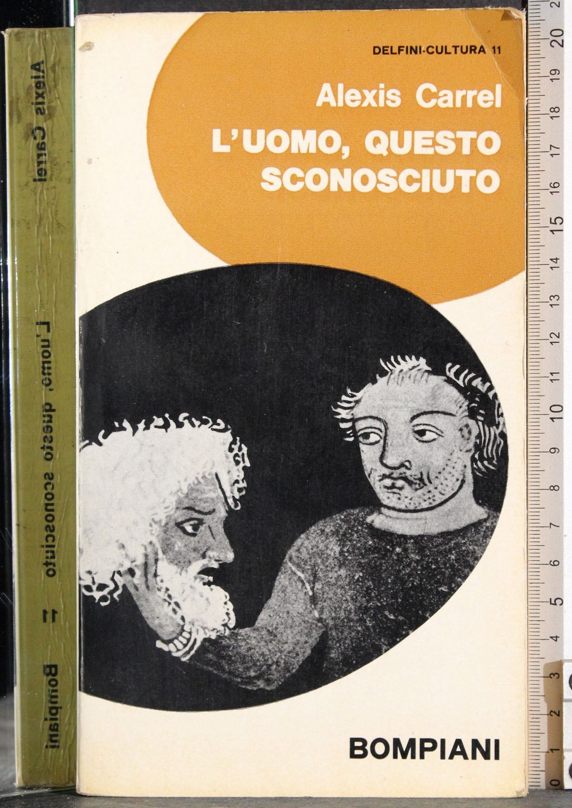 Cartarum