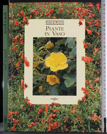 Piante in vaso - G. Valerio Catullo - copertina