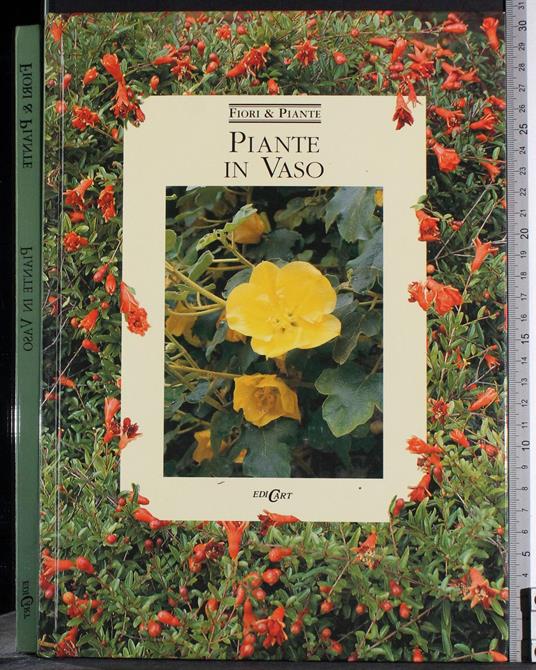 Piante in vaso - G. Valerio Catullo - copertina