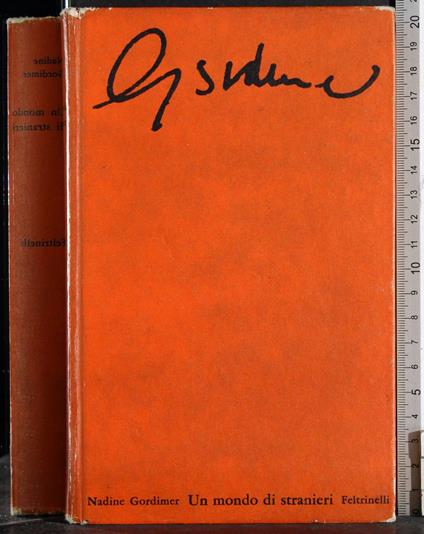 Un mondo di stranieri - Nadine Gordimer - copertina