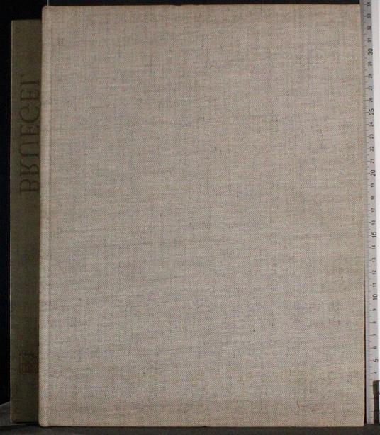 Pieter Bruegel - Wolfgang Stechow - copertina