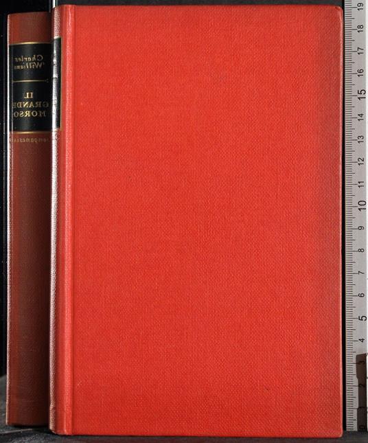 Il grande morso - Charles Williams - copertina