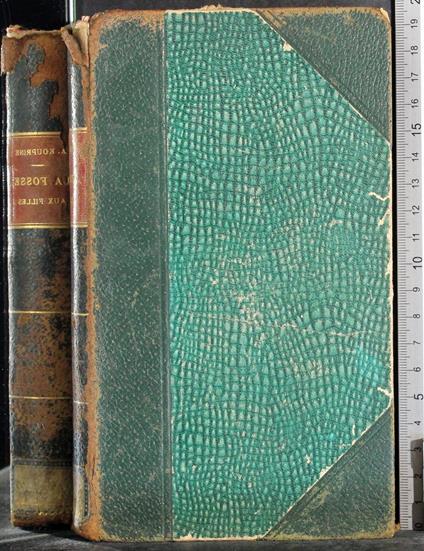 Le fosse aux filles - copertina