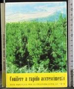 Conifere e rapido accrescimento